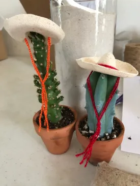 Cacti Hats
